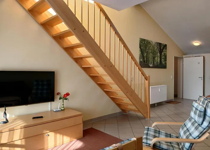 Eisvogel Classic 301